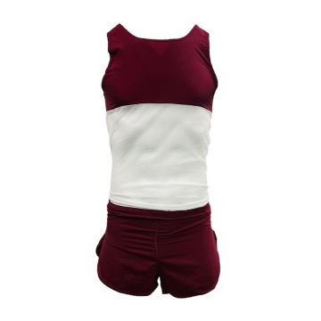 Wind Quantec with Net Kit Pack of 12 - Maroon/White