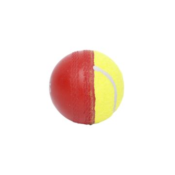 SNS Swing Cricket Ball