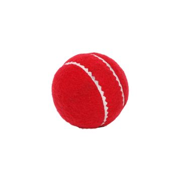 SNS Felt Practice Cricket Ball