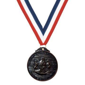 KZN Sports, Arts & Culture Bronze Achievement Medal