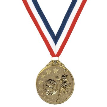 Century Star Gold Netball Medal 