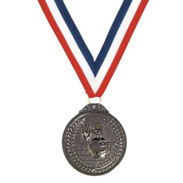 Olympia Silver Volleyball Medal