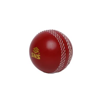 SNS Poly Hard Training Cricket Ball