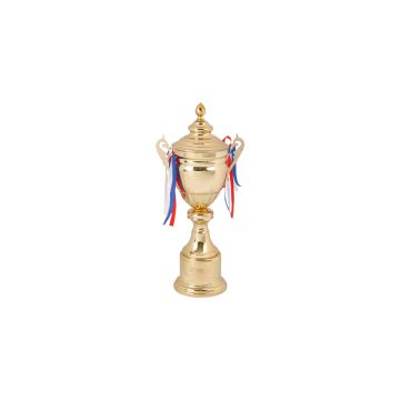 Championship Stand Out Cup Trophy