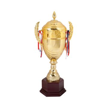 Premium Large Cup Trophy