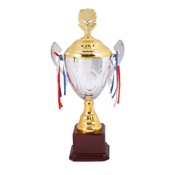 Premium Dual Large Cup Trophy 