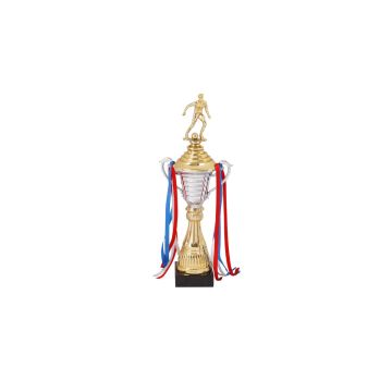 Dual Winner Cup Trophy