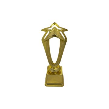 Star Border Gold Trophy