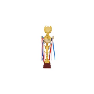 Higher Cup Trophy