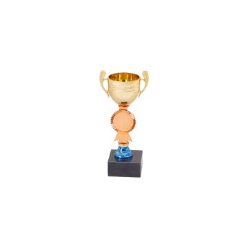 Insert Open Cup Trophy