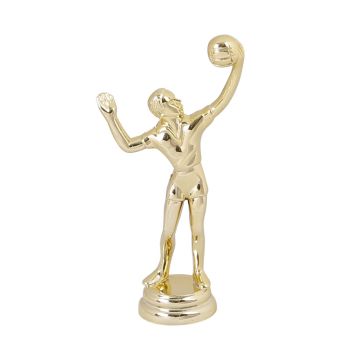 Volleyball Trophy