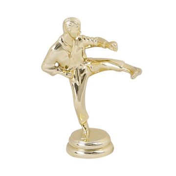 Karate Trophy