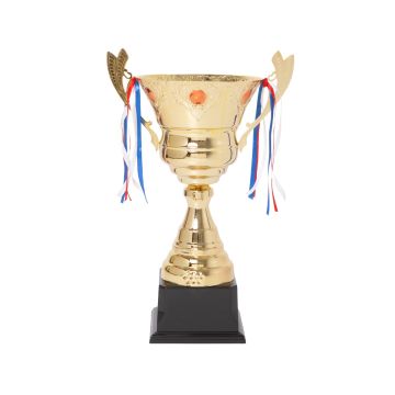 Gold Large Open Cup Trophy