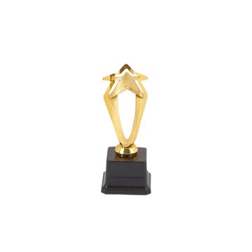 Star Border Trophy