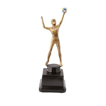 Volleyball In Motion Trophy