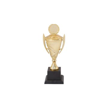 Italian Cup Trophy