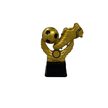 Angle Man Of The Match Trophy