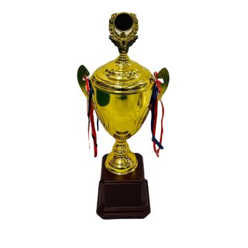 Premium Gold Cup Trophy